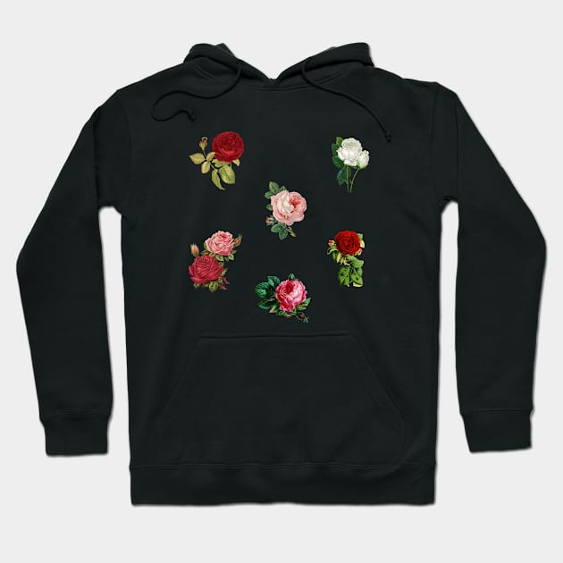 Vintage Roses pack Hoodie by Ranp